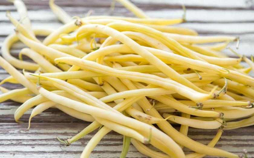 Top 26 best varieties of beans with photos and descriptions: what varieties they are and how to choose the right one