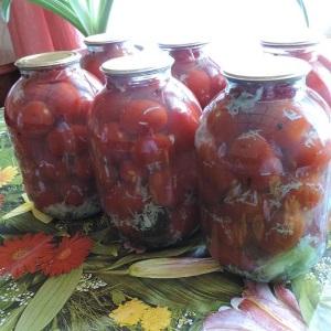 A universal variety of tomatoes for salads, pickling and drying - Metelitsa tomato