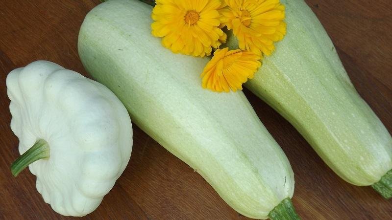 What is the difference between zucchini and squash: the difference in appearance, taste and other parameters