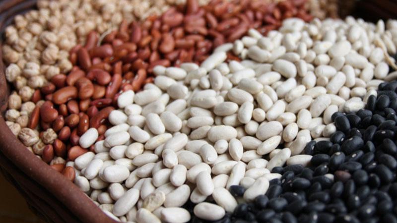 How and when to plant red beans for a better harvest