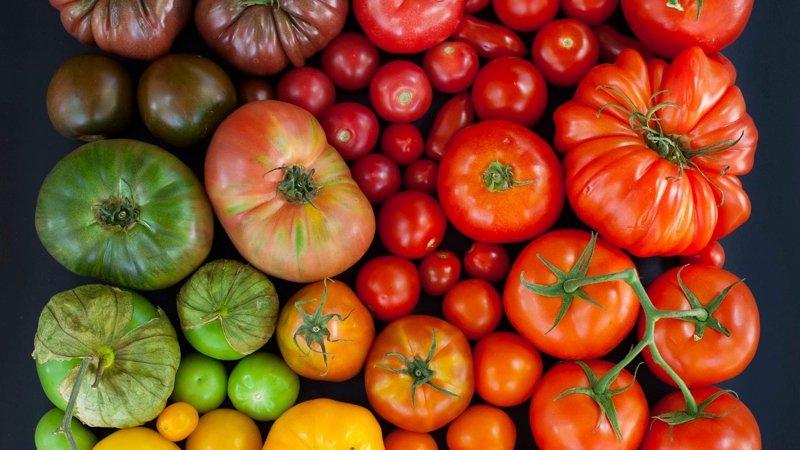 How to cook sun-dried tomatoes at home: different ways and the most delicious recipes