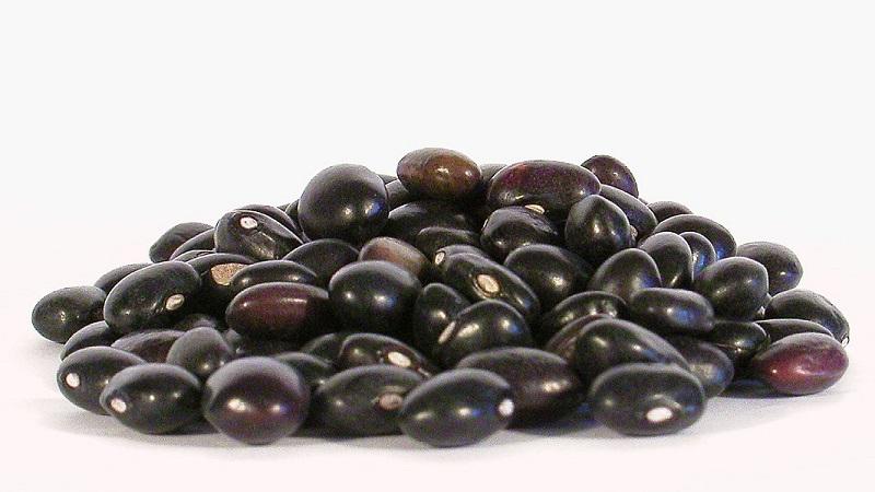 How to use black beans in cooking, cosmetology and traditional medicine: benefits and harms for the body