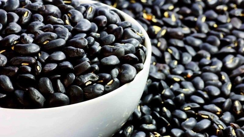 How to use black beans in cooking, cosmetology and traditional medicine: benefits and harms for the body