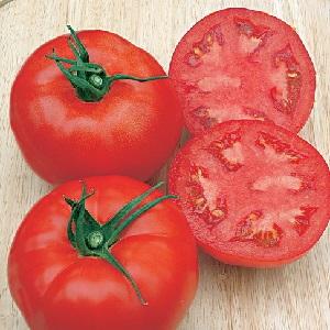 The leader among early ripe tomatoes, a favorite of farmers: Katyusha tomato, characteristics and description of the variety