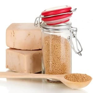 The best recipes for tomato bread dressings and how to use them correctly to increase yields