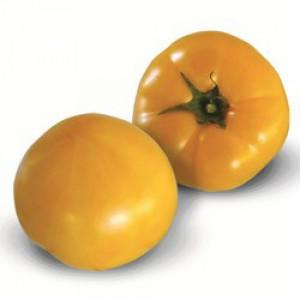 Features of caring for yellow-fruited tomatoes