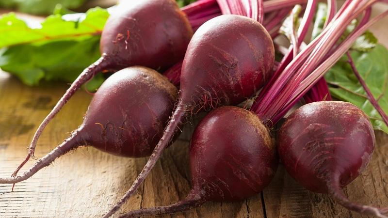 Rules for obtaining a rich harvest of beets: growing in the open field and care