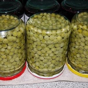 We preserve the taste and useful properties all year round: pea pods - recipes for the winter from experienced housewives