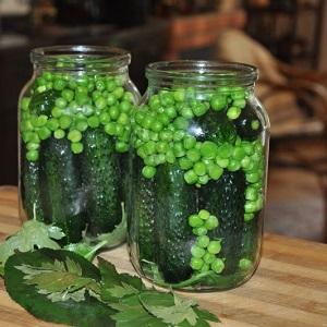 We preserve the taste and useful properties all year round: pea pods - recipes for the winter from experienced housewives