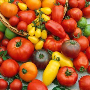 Top 15 sweetest tomato varieties for greenhouses: an overview of the best and help in choosing the right type