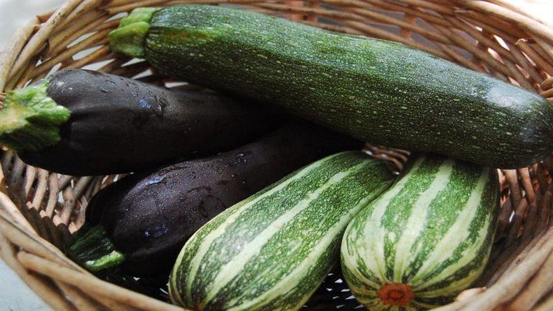 What and how to store zucchini for a long time - we create ideal conditions