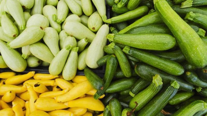 What and how to store zucchini for a long time - we create ideal conditions
