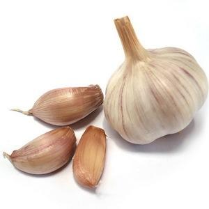 What are the benefits of garlic and how to use it correctly so as not to harm your health