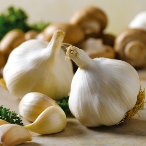 What are the benefits of garlic and how to use it correctly so as not to harm your health