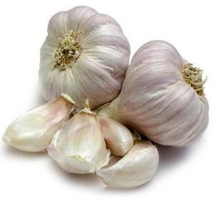 What are the benefits of garlic and how to use it correctly so as not to harm your health