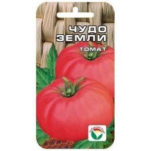 Delicious tomato with huge fruits - tomato Wonder of the earth