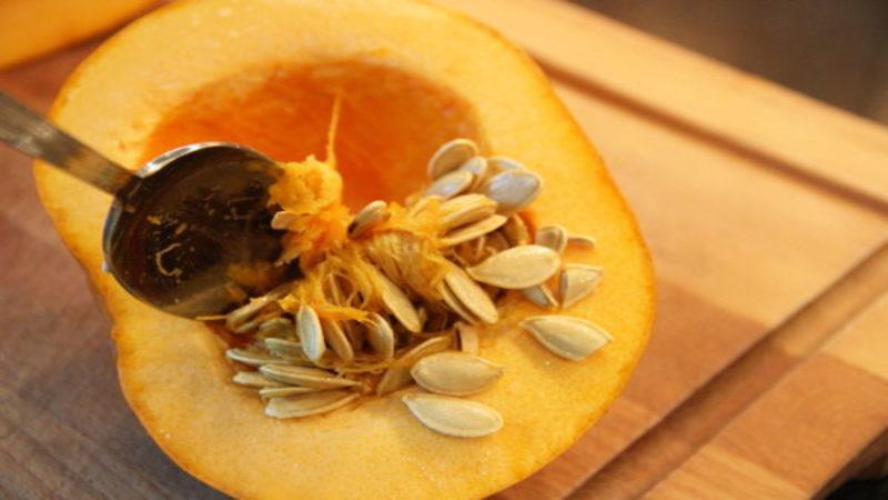 How to dry pumpkin seeds at home: choose the best way and follow the instructions