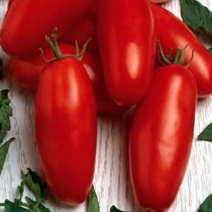 Unusual fruit with the original name: red banana tomato - what is it good for and how to grow it yourself