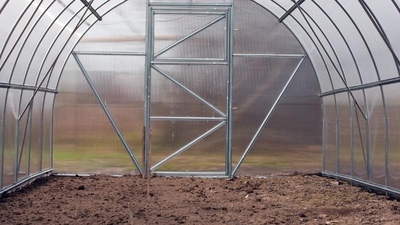 We grow a record crop of tomatoes in a polycarbonate greenhouse: planting and care, advice from agronomists
