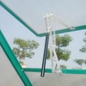 We grow a record crop of tomatoes in a polycarbonate greenhouse: planting and care, advice from agronomists