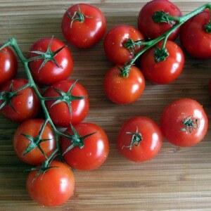 Miniature bushes with tomato crumbs - garden decoration: tomato Caramel and tips for growing it