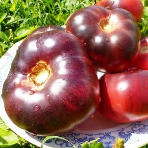A novelty from breeders, which managed to fall in love with gardeners - tomato Chocolate miracle: reviews and photos of the harvest