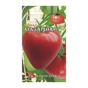 How to grow a Mazarin tomato in the country - instructions from seed preparation to harvest