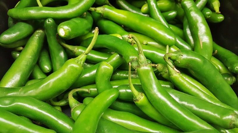 What you can't plant next to bitter peppers: crop rotation rules and growing secrets