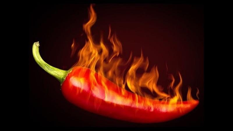 What you can't plant next to bitter peppers: crop rotation rules and growing secrets