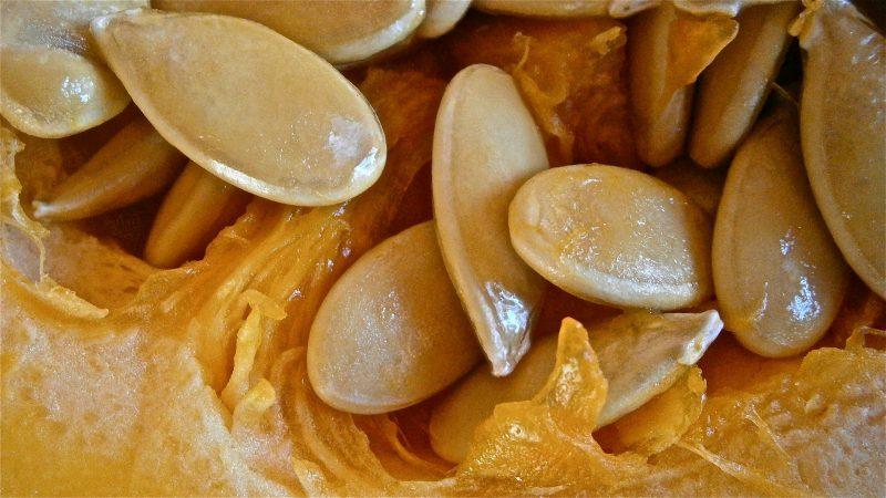 Miraculous tasty mixture - how are pumpkin seeds with honey useful and how to use them correctly