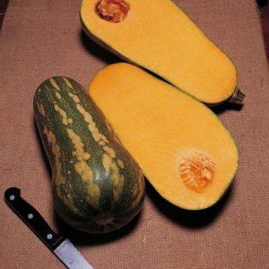 The most popular green pumpkin varieties and features of their cultivation