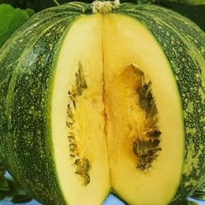 The most popular green pumpkin varieties and features of their cultivation