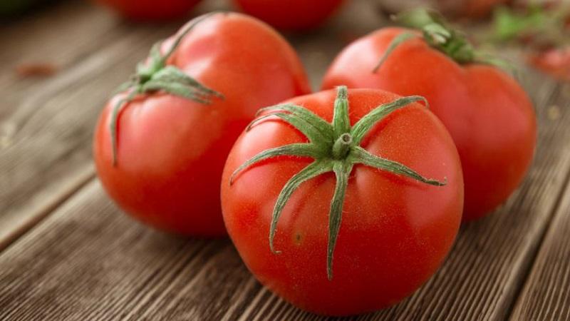 Universal early ripening Volgograd tomato: what is good and why it is worth growing it on your site