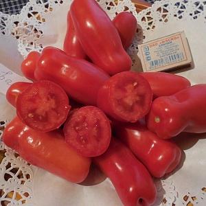 Mid-season, high-yielding and unusual in shape Casanova tomato: reviews of farmers and tips for growing