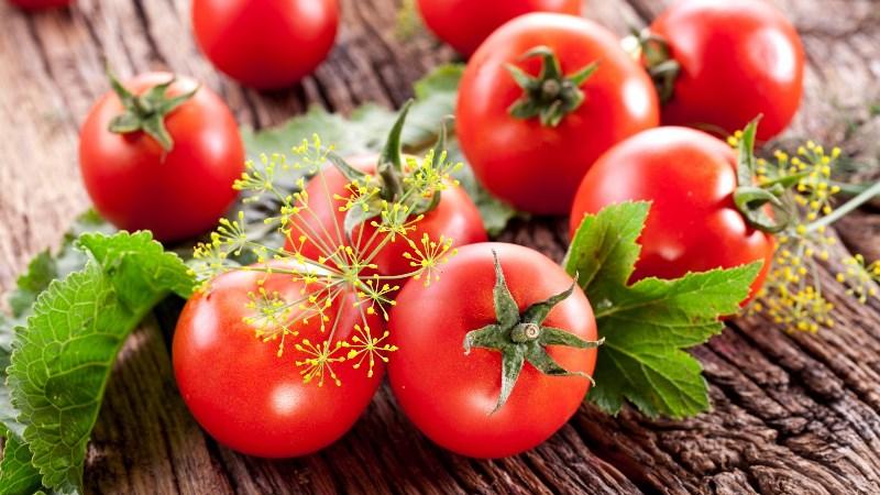 The best express recipes on how to pickle tomatoes in a bag quickly and tasty: ingredients, instructions and tips from housewives