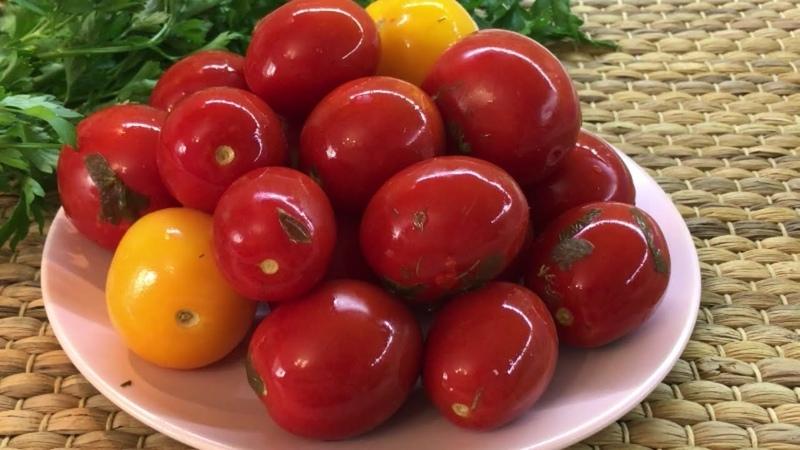 The best express recipes on how to pickle tomatoes in a bag quickly and tasty: ingredients, instructions and tips from housewives