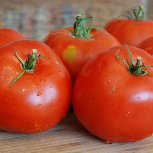 Ideal for greenhouses, early ripe and high-yielding tomato Blagovest: how to grow it correctly