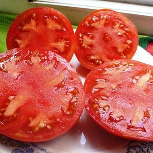 Why summer residents love Altai orange tomato so much, reviews about its yield and care secrets