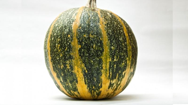 Features of growing gymnospermous pumpkin and what seeds you should pay attention to