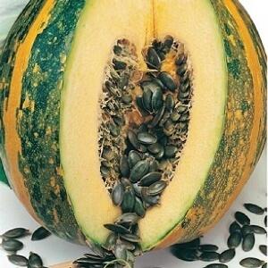 Features of growing gymnospermous pumpkin and what seeds you should pay attention to
