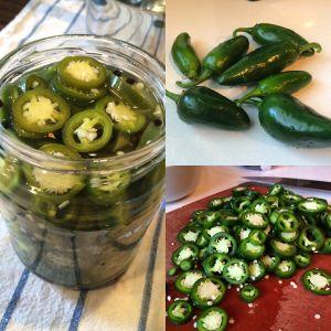 What is Jalapeno pepper, how is it grown and used