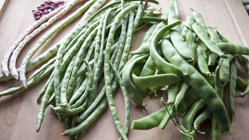 What is the difference between asparagus beans and green beans: photos of legumes and the difference between them