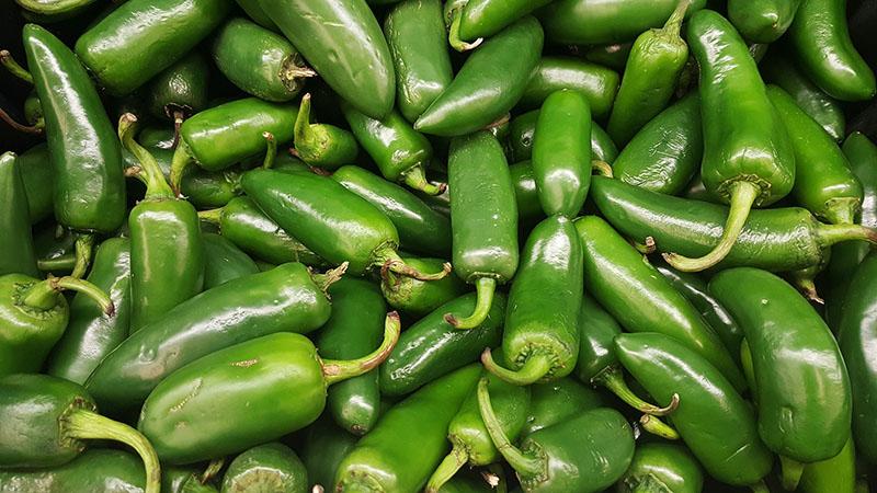 What is Jalapeno pepper, how is it grown and used