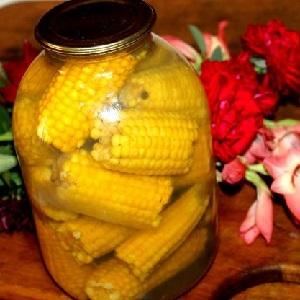How to preserve corn for the winter at home: the most delicious recipes for harvesting