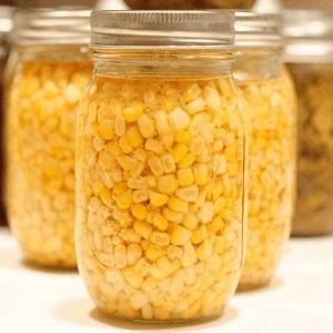 How to preserve corn for the winter at home: the most delicious recipes for harvesting