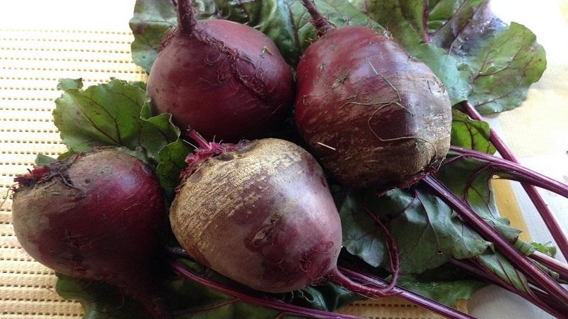How to properly use beets for pancreatitis