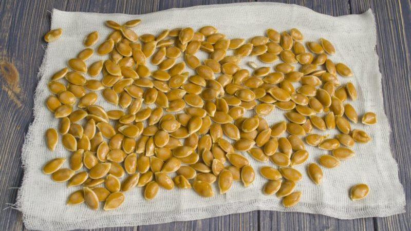 How to dry pumpkin seeds at home: choose the best way and follow the instructions