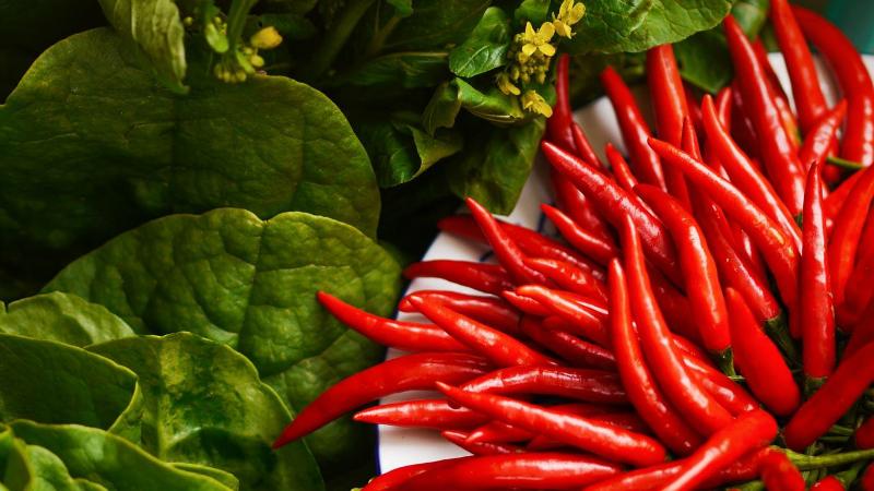 How to cook delicious pickled hot peppers for the winter: the best recipes from experienced housewives