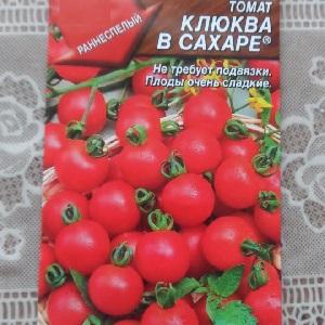 Bright and tasty decoration of the beds - tomato Cranberry in sugar