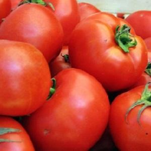 Large and unpretentious tomato Family f1: we grow ourselves, avoiding mistakes